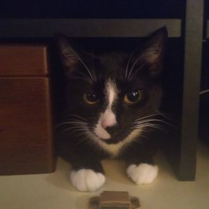 Meet your Posher, Jacob